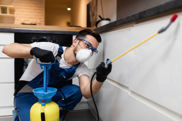 Best Mosquito Control Services  in Hot Springs, SD
