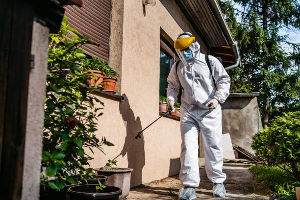 Best Residential Pest Control  in Hot Springs, SD