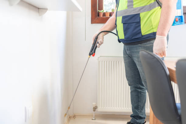 Best Wasp Removal Services  in Hot Springs, SD