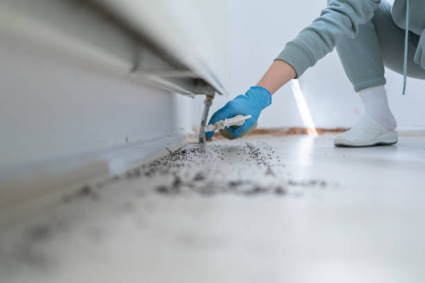 Best Affordable Pest Control Services  in Hot Springs, SD