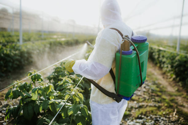 Best Pest Control Cost  in Hot Springs, SD